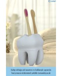Diş Fırçalığı Tezgah Üstü Beyaz Renk Diş Fırçası Standı Diş Şekilli Model